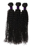 BURMESE CURLY